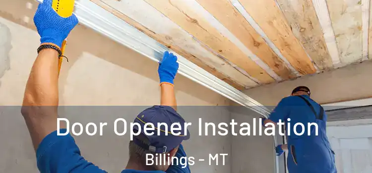 Door Opener Installation Billings - MT