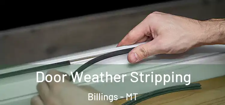  Door Weather Stripping Billings - MT