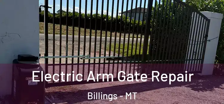  Electric Arm Gate Repair Billings - MT