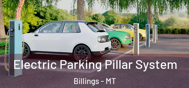  Electric Parking Pillar System Billings - MT