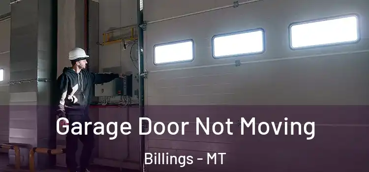  Garage Door Not Moving Billings - MT
