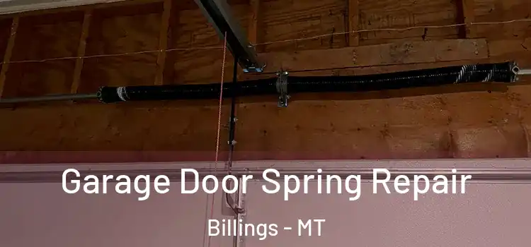  Garage Door Spring Repair Billings - MT