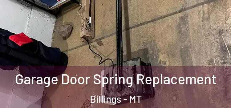  Garage Door Spring Replacement Billings - MT