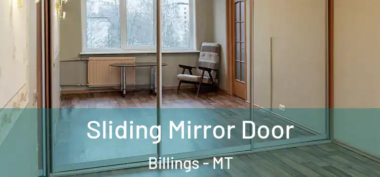  Sliding Mirror Door Billings - MT